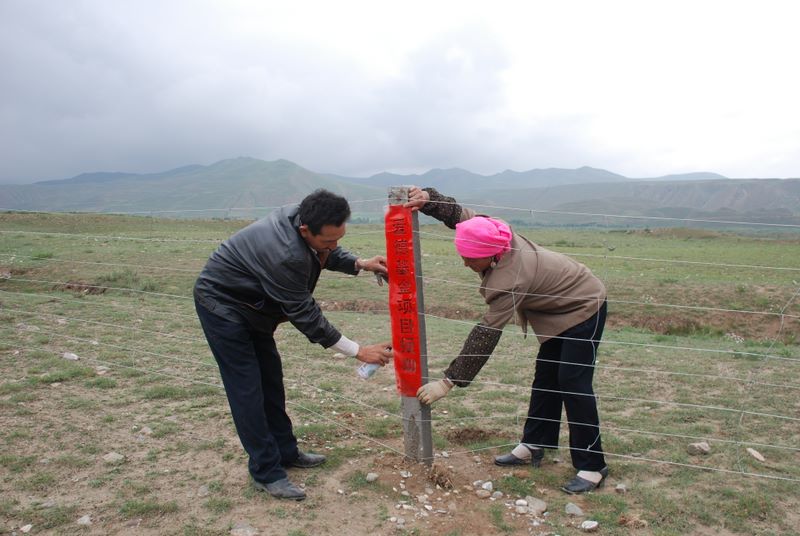 a_qinghai_0120.jpg (large)